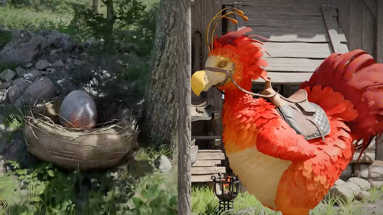 guide on how to get kuku bird mount in crimson desert